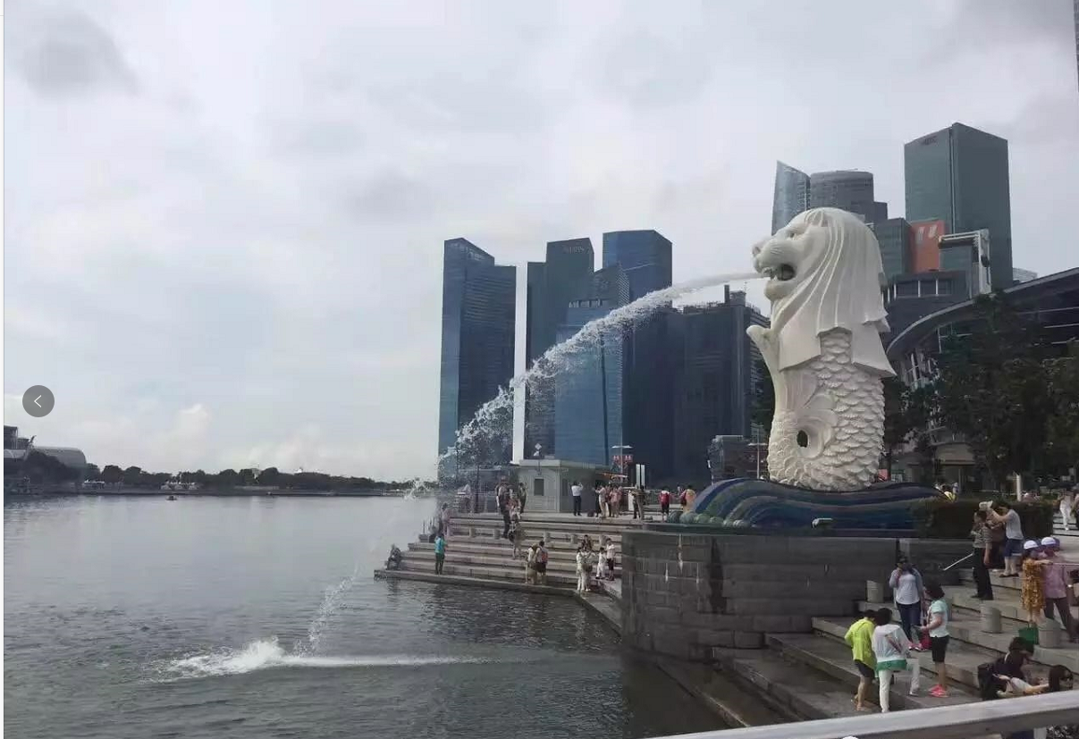 2019年-新加坡之旅(圖2)