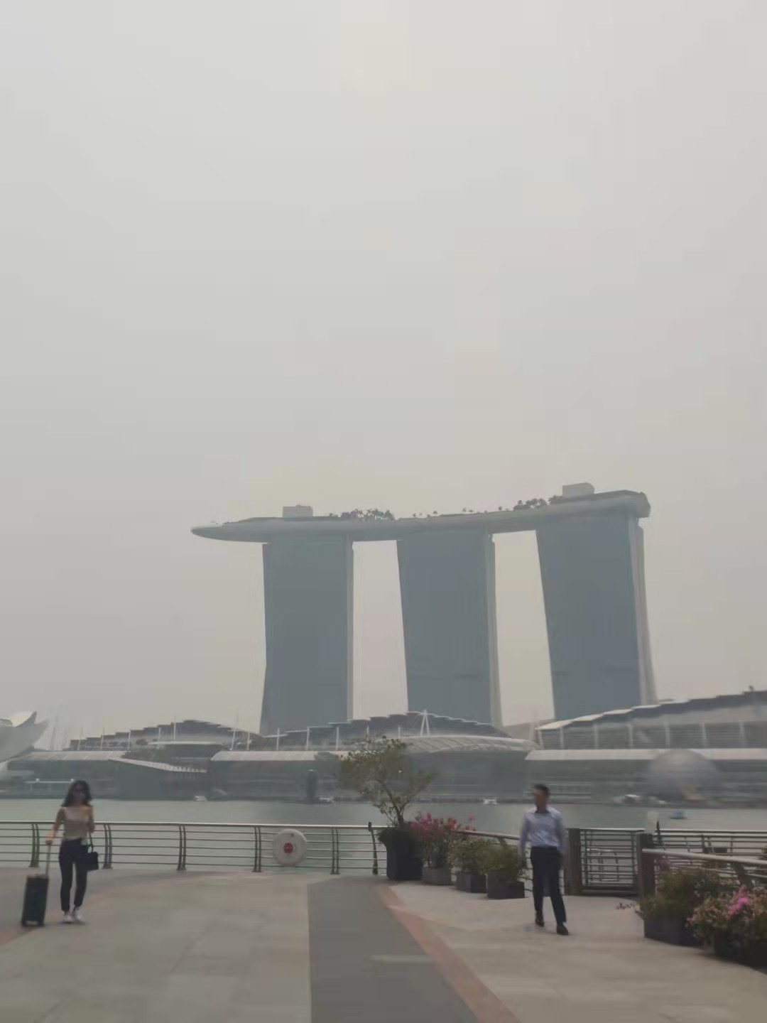 2019年-新加坡之旅(圖3)