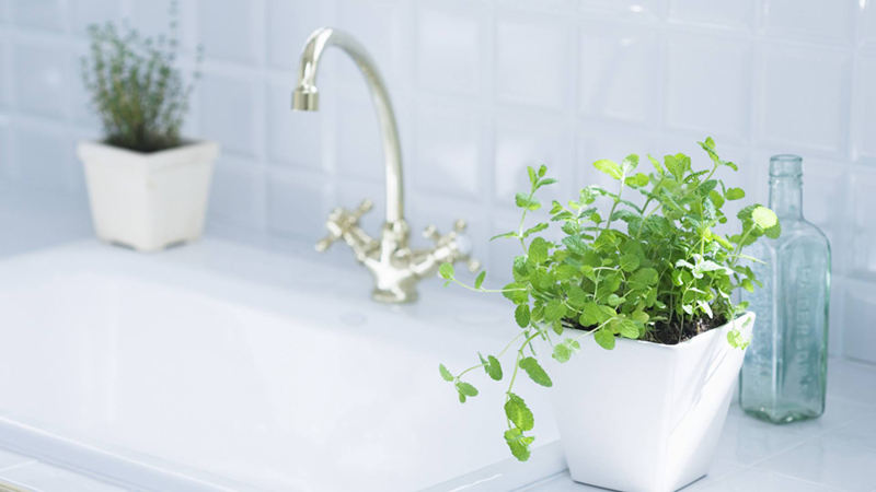 什么溫度,什么濕度對(duì)人體最健康?(圖1)